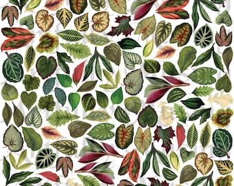 Miniature Leaves Collage Sheet - Digital Printable - Instant Download (2214)