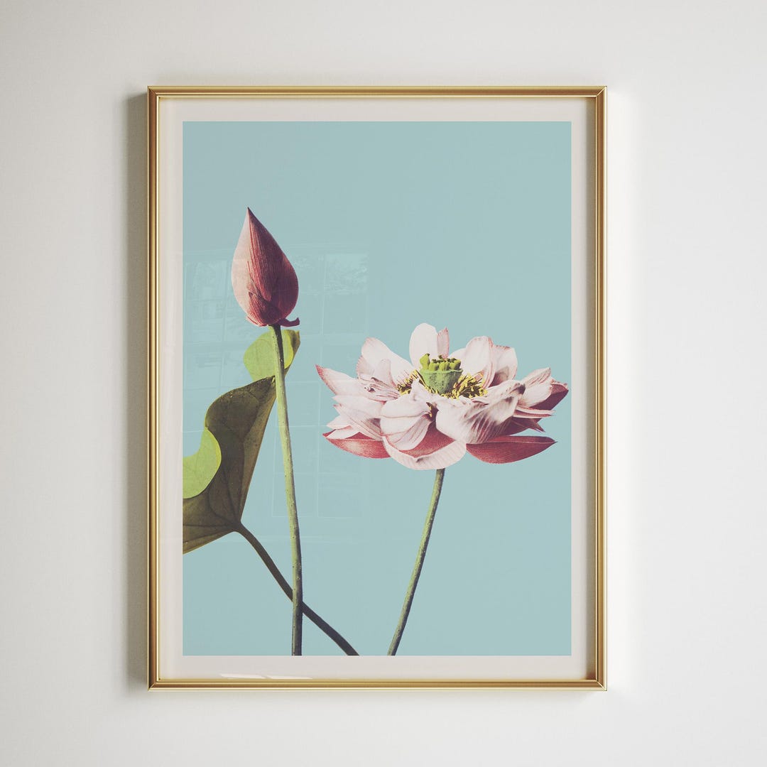 Pink Lotus Flower Print | Minimalist Botanical Wall Art | Modern Floral ...