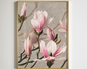 Magnolia Print | Victorian Botanical Poster | Pink Floral Mural | Digital Download