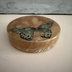 May include: A round, tan-colored decorative object with a butterfly design. The butterfly has green and blue wings with black spots. The object has a textured surface and a light brown border.