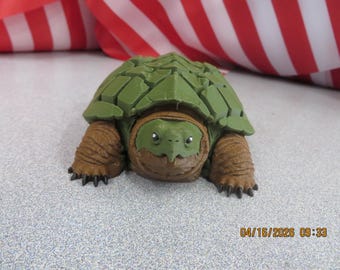 Schildkröte