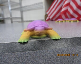 Eine Schildkröte für jedermann