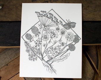 Medicinal Plants / Roadside Weeds Letterpress Print