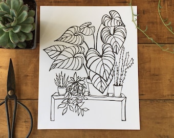 Impresión artística tipográfica de plantas de interior