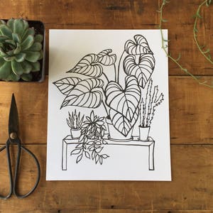 May include: A black and white line drawing of a collection of potted plants on a shelf. The plants include a large leafy plant with heart-shaped leaves, a cactus, and a smaller plant with delicate leaves.