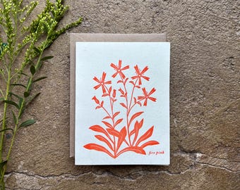 Fire pink Letterpress Botanical Wildflower Card