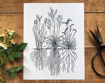 Native Grasses Letterpress Art Print