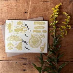 May include: A card with a gold foil design featuring insects, a snail, and a seashell. The text on the card reads "sorry to bug you".