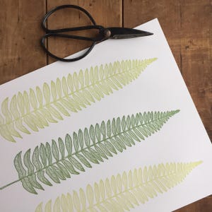 May include: Three fern leaves printed on white paper. The ferns are outlined in green and yellow, with the top fern being a light yellow and the bottom fern being a dark green.