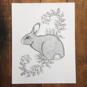 May include: A black and white illustration of a rabbit, rendered with detailed cross-hatching. The rabbit is surrounded by a leafy, vine-like design. The artwork is on a white background.