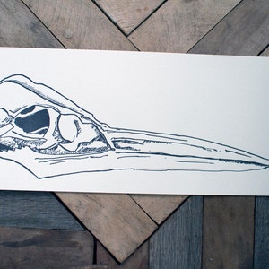 Heron Skull Letterpress Art Print