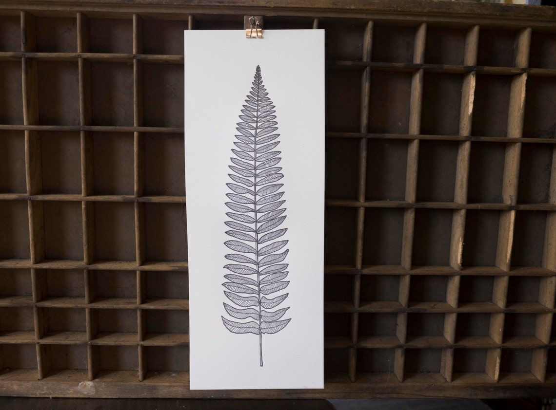 Fern Illustration Letterpress Art Print - Etsy