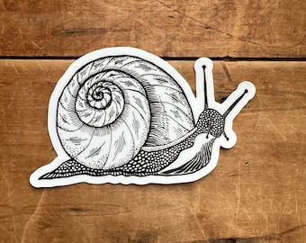 Snail Sticker - Original Vinyl Decal