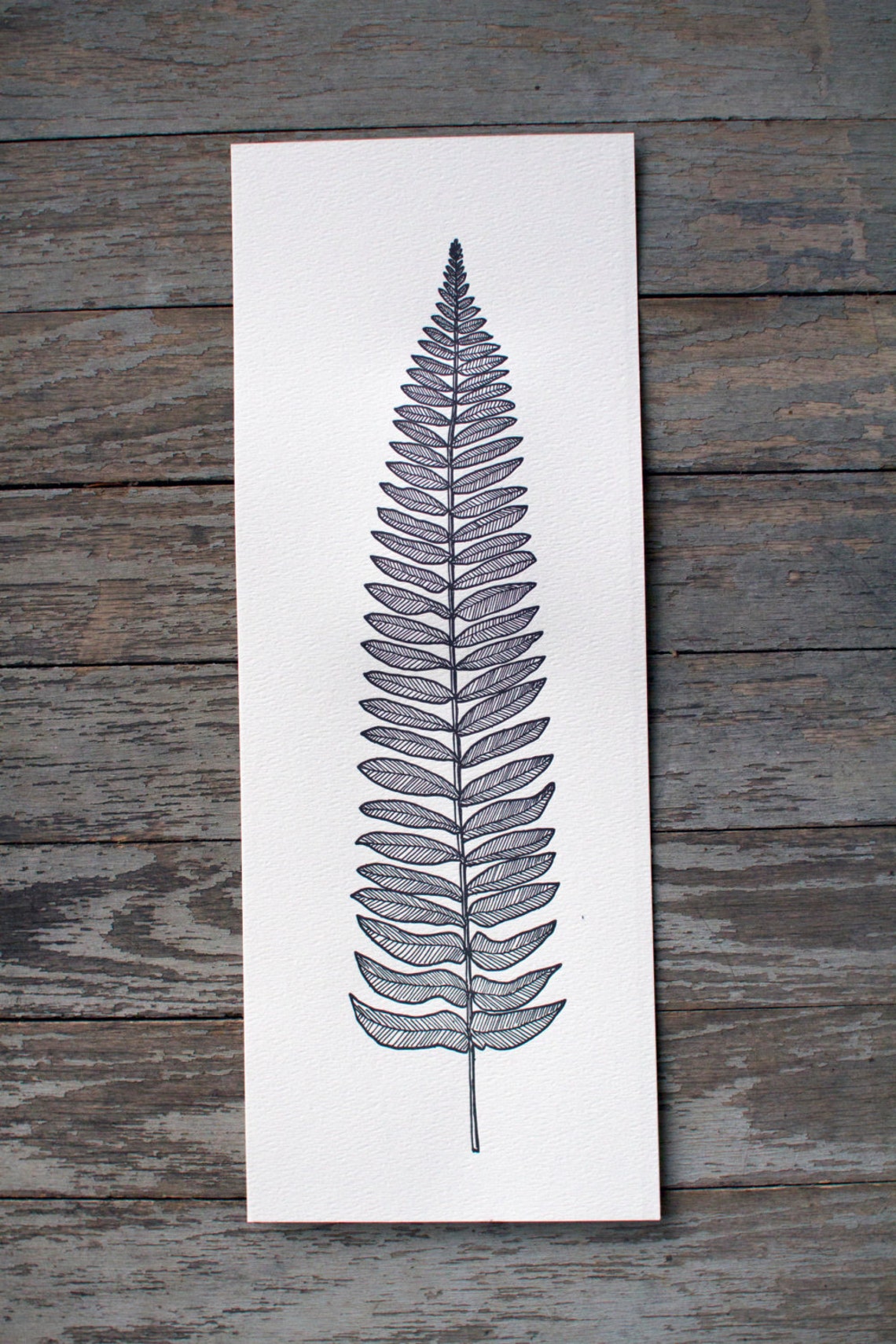Fern Illustration Letterpress Art Print - Etsy
