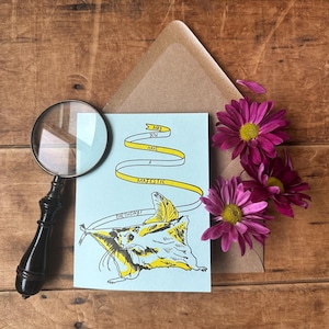 May include: A blue greeting card with a yellow ribbon that reads "May you have a majestic birthday". The card features a cartoon illustration of a sugar glider with its wings outstretched.