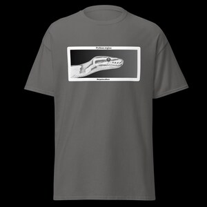May include: A grey t-shirt with a framed black and white illustration of a ball python's head. The text "Python regius" and "Herpetoculture" are printed above and below the image, respectively.