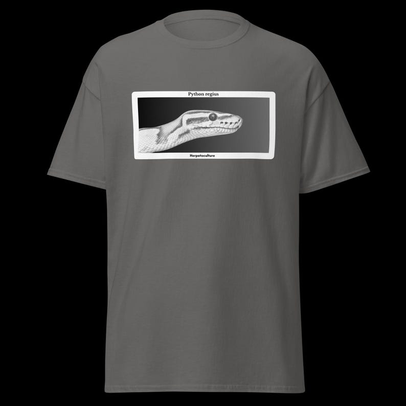 May include: A grey t-shirt with a framed black and white illustration of a ball python's head. The text "Python regius" and "Herpetoculture" are printed above and below the image, respectively.