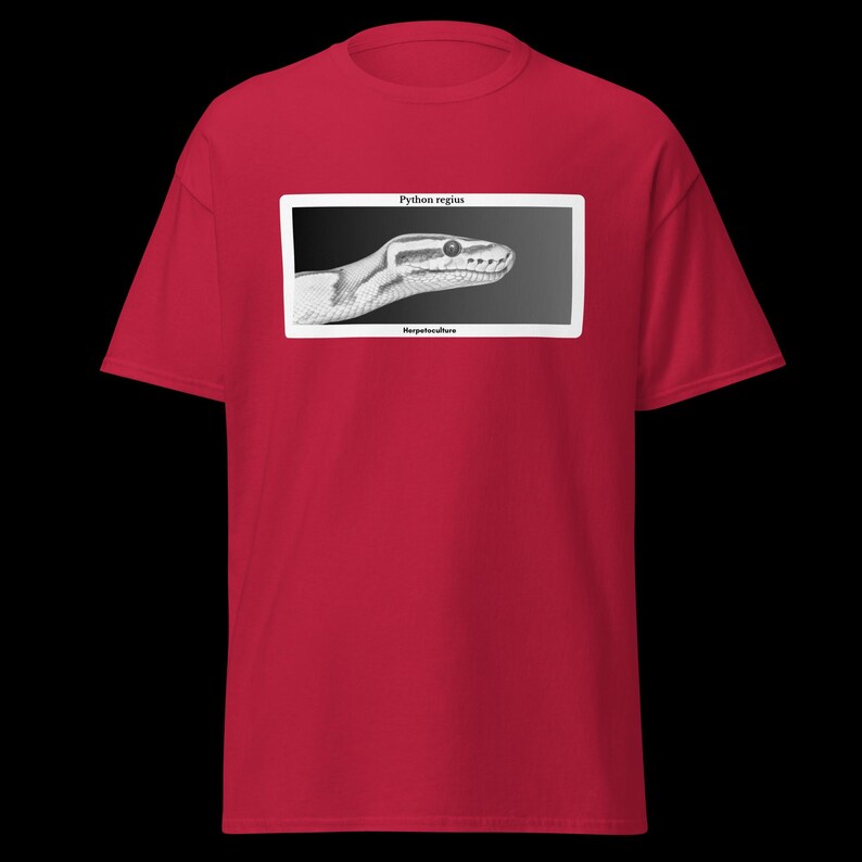 May include: A red t-shirt with a black and white illustration of a snake's head in a white frame. The text "Python regius" and "Herpetoculture" are printed above and below the image.