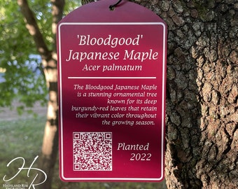 All Weather Tags for Trees or Shrubs | Custom Engraved UV Resistant Acrylic Labels | Available in 3 Sizes | Includes Hanging Cable | QR Code