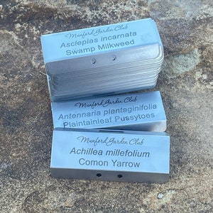 Custom Stainless Steel Plant Markers, Set of 50, Personalized Garden Stakes