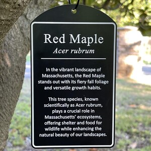 Custom Engraved Acrylic Tree Plaque | Personalized Garden Sign ...