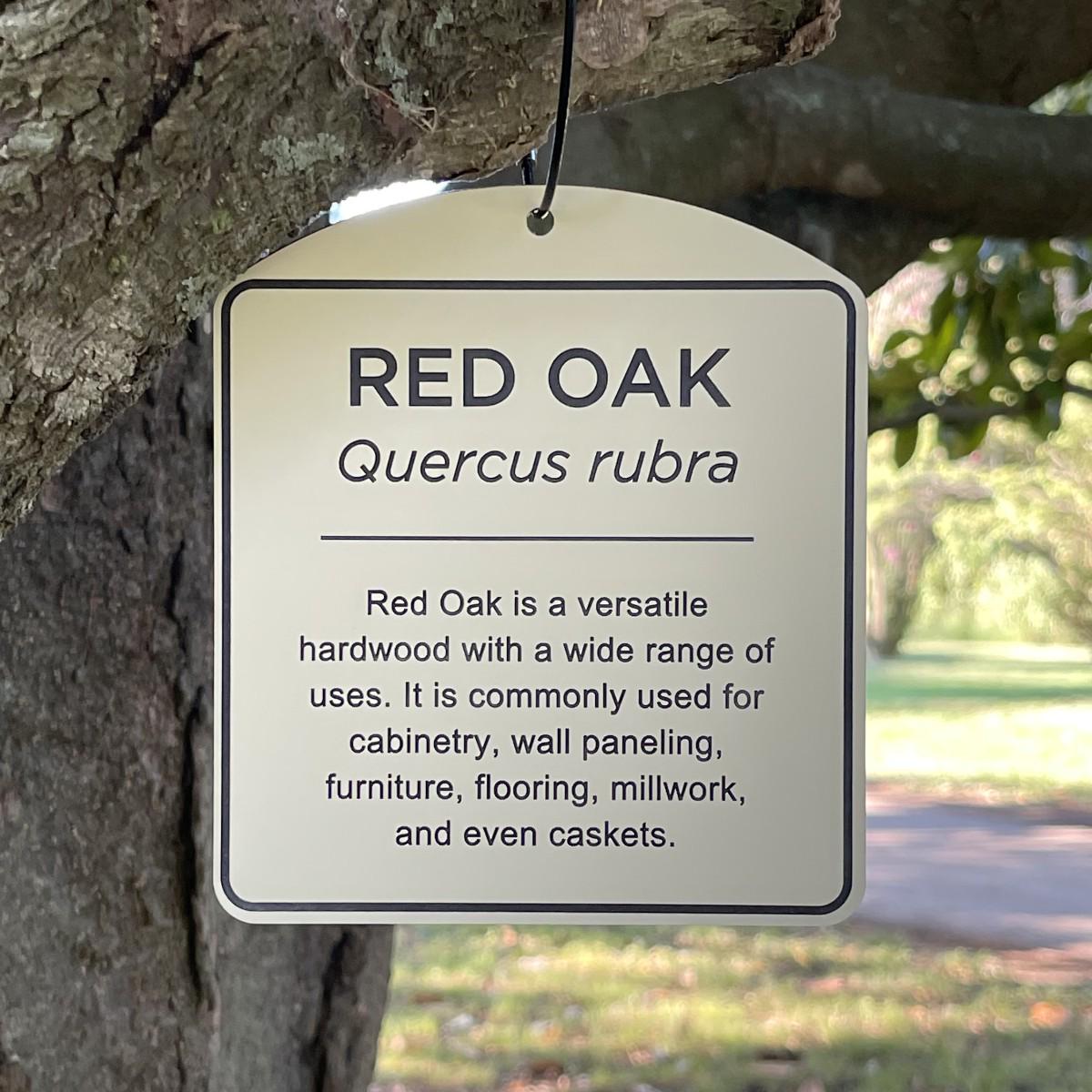 Custom Engraved Acrylic Tree Plaque | Personalized Garden Sign ...