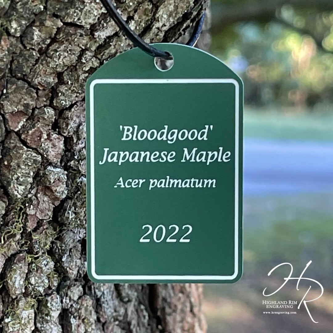 Custom Engraved Acrylic Tree Plaque | Personalized Garden Sign ...