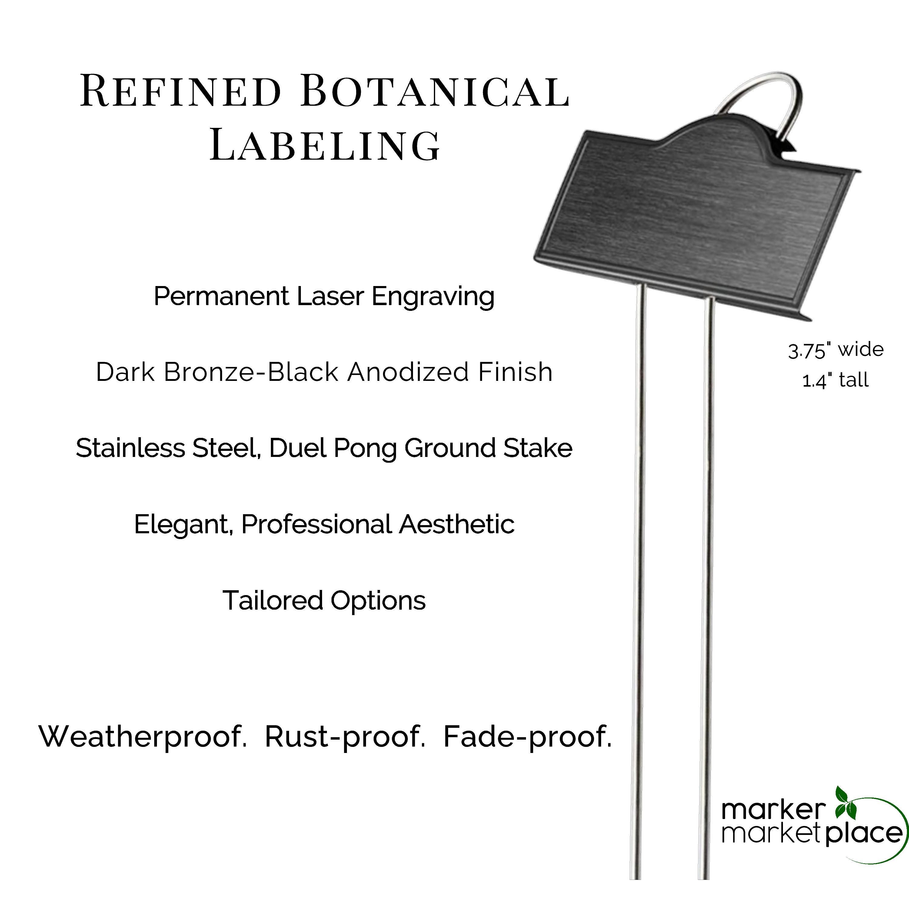 Engraved Japanese Maple Plant Tag | Arched Black Stainless Steel