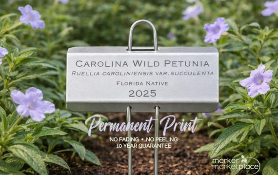 Custom Stainless Steel Plant Markers, Laser Engraved Garden Stakes, Rose Herb Labels
