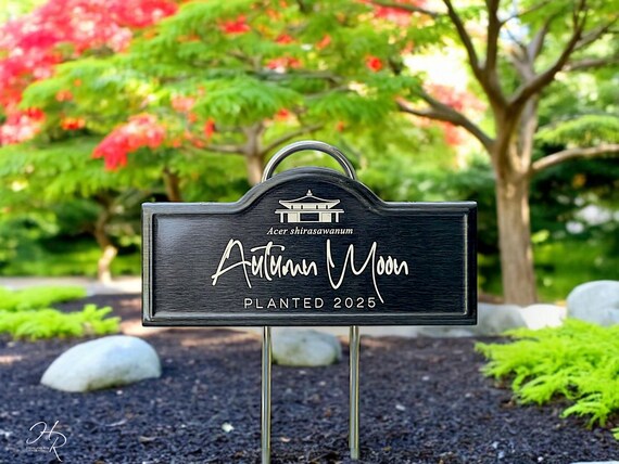 Engraved Japanese Maple Plant Tag | Arched Black Stainless Steel