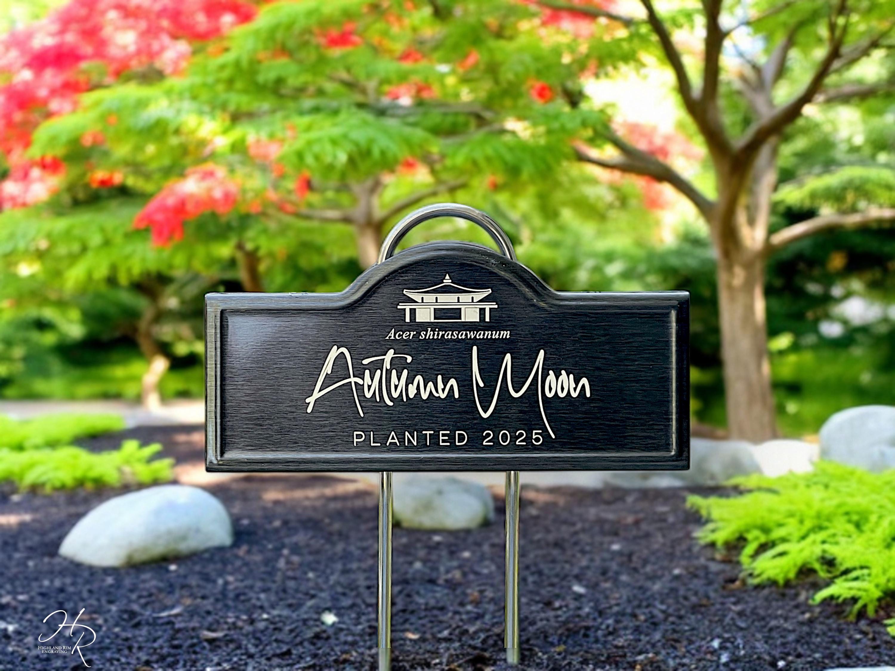 Engraved Japanese Maple Plant Tag | Arched Black Stainless Steel