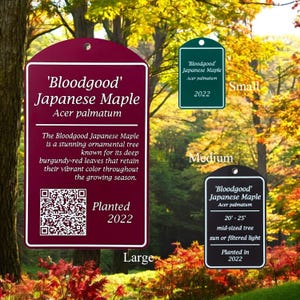 Custom Engraved Acrylic Tree Plaque | Personalized Garden Sign ...