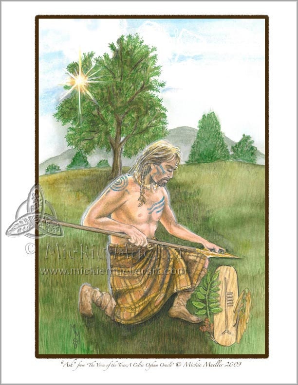 The Ash Card Giclee Print Etsy