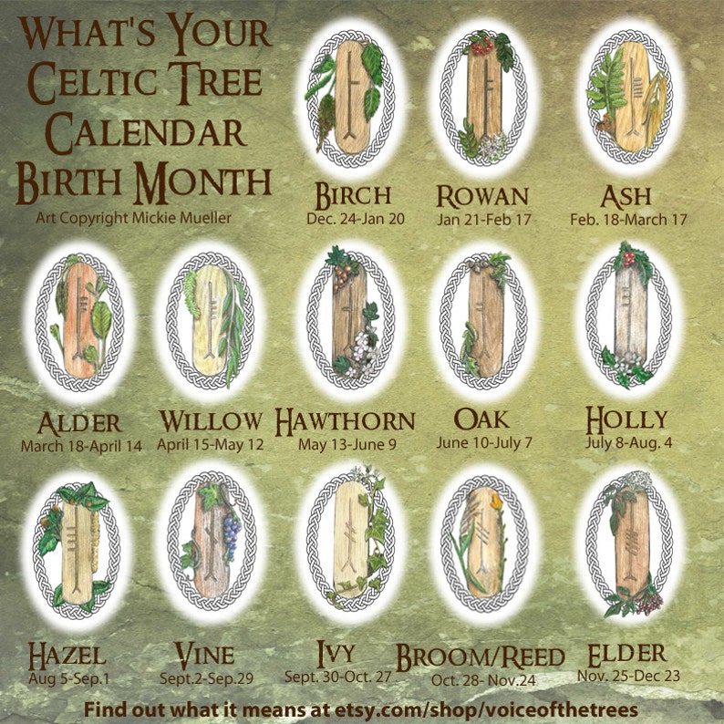 Celtic Tree Calendar zodiac Mother of Pearl Amulet Etsy