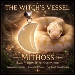 Ball Python Geist Begleiter • Mithoss • Erste Berührung Direktbindung • Schlangen-Vertrauter • Gefäß der Hexe
