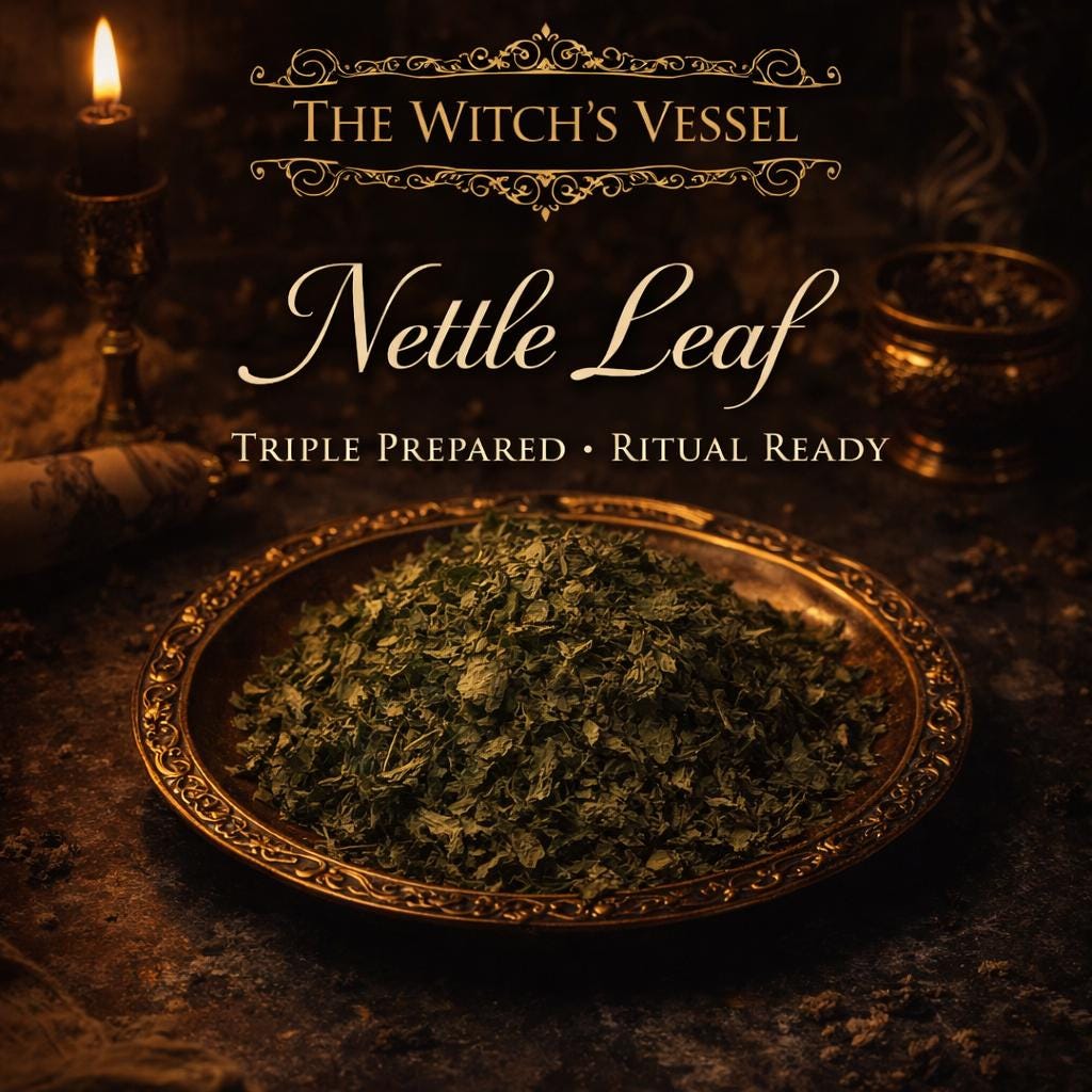 Triple Prepared Nettle Leaf