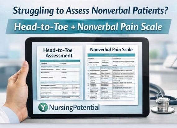 IDD Nursing Assessment Bundle | Head-to-Toe Assessment + Nonverbal Pain Scale | Documentation Tools | Instant Download