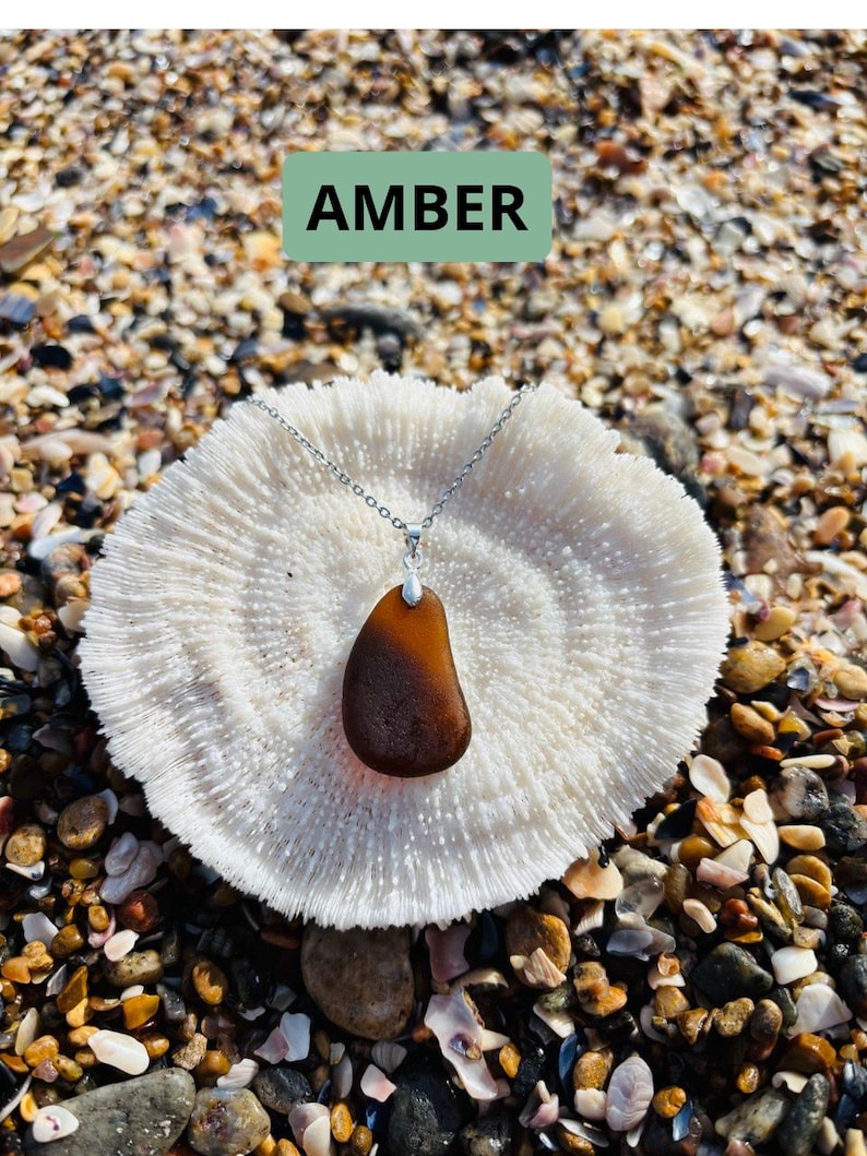 May include: An amber-colored pendant necklace with a silver chain rests on a white coral-like structure. The background is a beach scene with pebbles and shells. The word "AMBER" is displayed in a green rectangle.