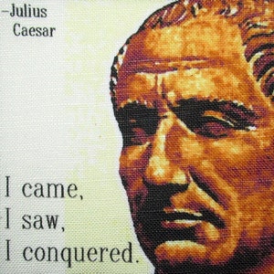 Puede incluir: Un primer plano de un busto de Julio César con la cita "Vine, vi, vencí." impresa debajo. El busto está hecho de un material marrón y tiene una superficie texturizada.