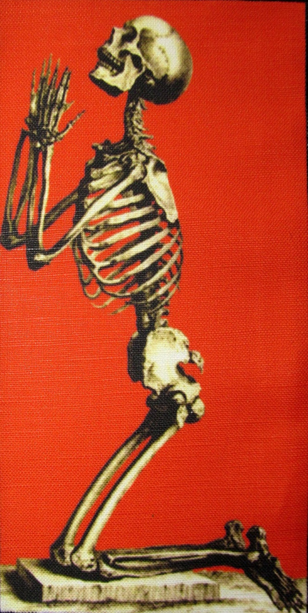 RED SKY SKELETON 4 - Printed Sew on Patch - Vest, Bag, Backpack, Jacket ...