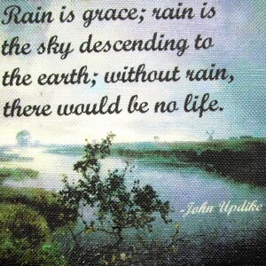 Puede incluir: Una cita de John Updike sobre la lluvia, impresa en un fondo de lienzo con una imagen borrosa de un río y árboles. La cita dice: "La lluvia es gracia; la lluvia es el cielo que desciende a la tierra; sin lluvia, no habría vida."