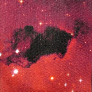 Puede incluir: Un primer plano de una nebulosa roja con una forma oscura en forma de nube en el centro. La nebulosa está llena de muchas estrellas brillantes.