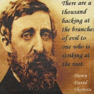 Parche estampado "CITA 2" de Henry David Thoreau para coser en chaleco, bolso, mochila o chaqueta, pág. 466