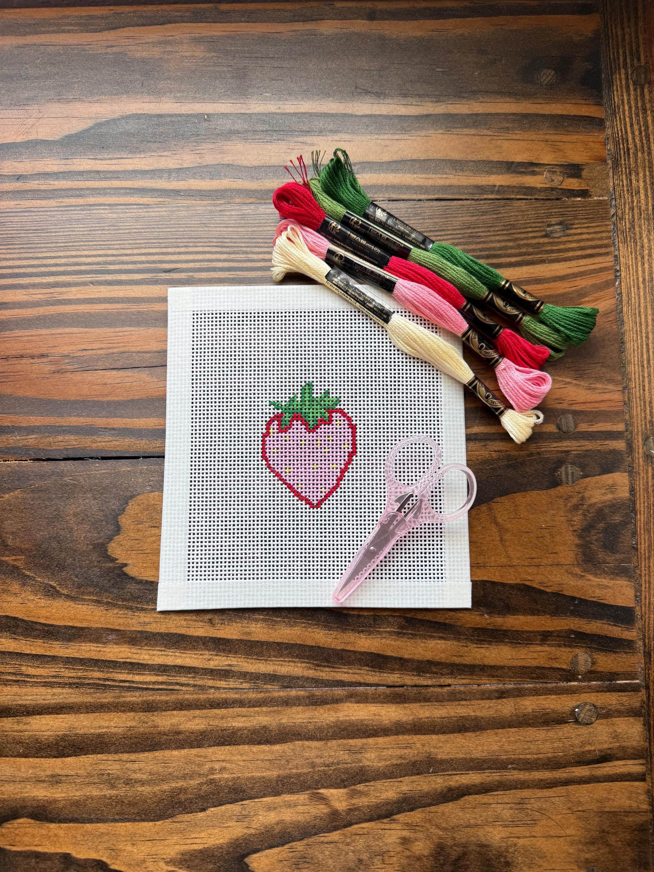 Hand Painted Strawberry Needlepoint Beginner Kit | Hand-painted