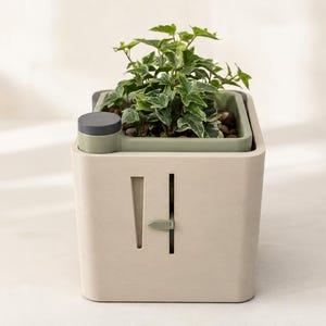May include: A square beige self-watering planter containing a small green ivy plant. The planter features a dark grey circular cap on the top corner and a vertical slot on the front face with a small green sliding indicator to monitor water levels.