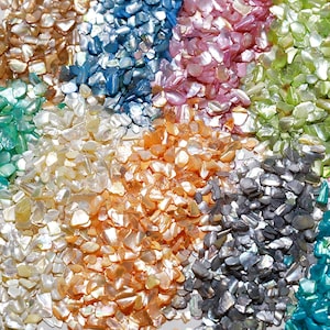 Puede incluir: Primer plano de una colección de fragmentos de concha iridiscentes de varios colores. Los fragmentos están dispuestos en secciones, mostrando tonos blancos, azules, rosas, verdes, naranjas y grises. Los fragmentos de concha tienen un aspecto natural y texturado.