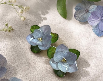 Puede incluir: Un par de pendientes de botón con pétalos de hortensia azules preservados sobre hojas verdes. Cada flor tiene un pequeño acento central en tono dorado. Los pétalos tienen un acabado brillante similar a la resina, mostrando las venas naturales y la delicada textura de los elementos botánicos reales.
