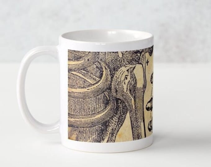 Featured listing image: Anatomical Skeleton Coffee Mug - Anatomy Kitchen - Anatomy Shoulder and Hand Bones