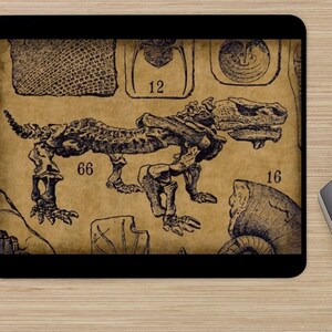 Pareiasaurus Mousepad - den fossila dinosauren musen vadderar