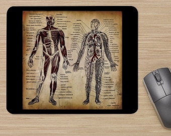 Anatomy Mousepad - Antique Human Anatomy Print Mousepad - Circulatory System
